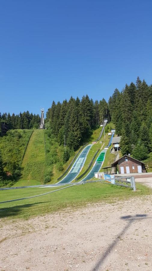 Schwarzwald Geht Immer Fewo 60 Qm Mit Grossem Suedbalkon, Wlan Und Magenta Tv Schoenwald im Schwarzwald Exterior photo