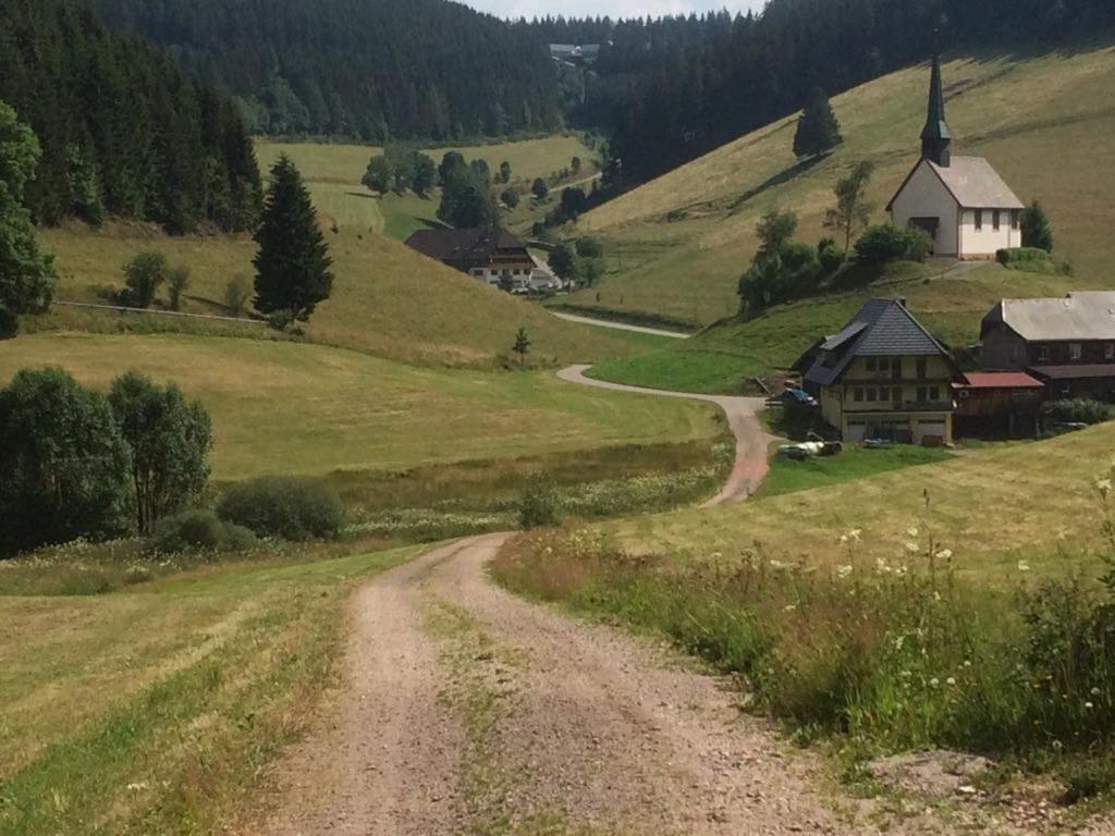 Schwarzwald Geht Immer Fewo 60 Qm Mit Grossem Suedbalkon, Wlan Und Magenta Tv Schoenwald im Schwarzwald Exterior photo
